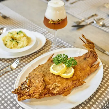 Sperber Braeu 3*